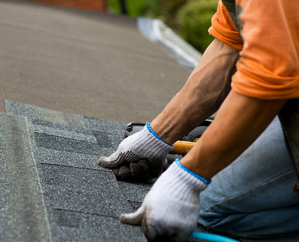 Professional Roofing Contractor in West Dundee, IL