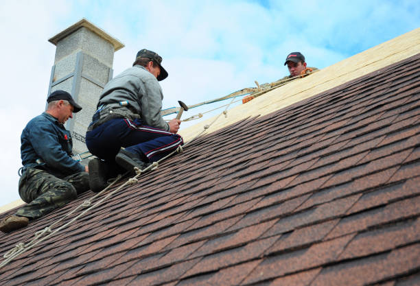 Best Gutter Installation and Roofing  in West Dundee, IL