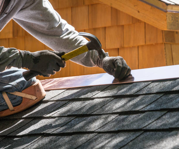 Roof Gutter Cleaning in West Dundee, IL